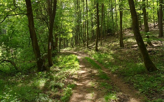 Oderlandweg, Gamengrund