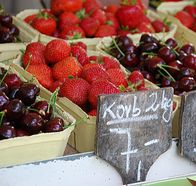 Reife Ernte am Königsberg - Helga Kreysler farm shop