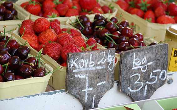 Foto: Tourismusverband Havelland e.V.