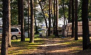 Ferienhaus- &amp; Campingpark &quot;Ludwig Leichhardt&quot; in Zaue am Schwielochsee, Foto: Schwielochsee - Tourist GmbH