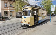 Historische Straßenbahn, Foto: TMB-Fotoarchiv/Steffen Lehmann