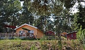 Ferienhaus- & Campingpark "Ludwig Leichhardt" in Zaue am Schwielochsee - Ferienhäuser, Foto: Schwielochsee - Tourist GmbH