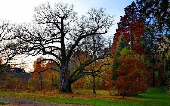 Gutspark Gadow, Foto: Schloss Gadow GbR