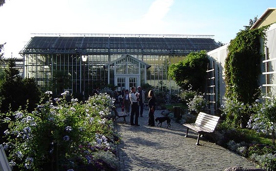 Botanischer Garten der Universität Potsdam, Foto: Jan Hoffmann