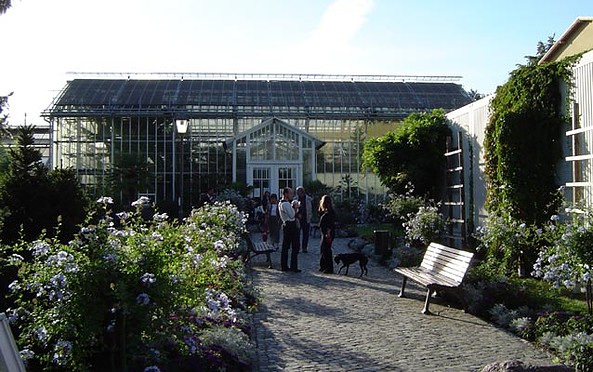 Botanischer Garten der Universität Potsdam, Foto: Jan Hoffmann