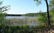 See am Wildnispfad, Foto: Stiftung Naturlandschaften Brandenburg