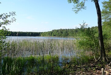 See am Wildnispfad, Foto: Stiftung Naturlandschaften Brandenburg