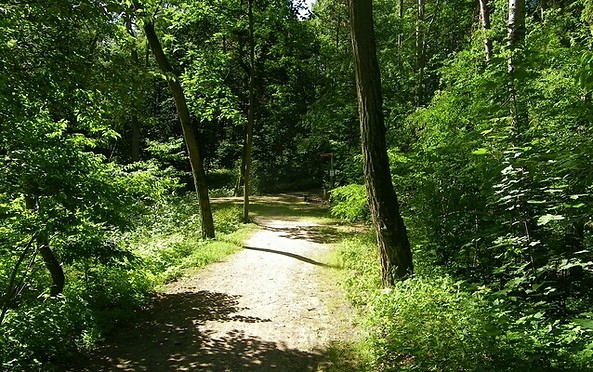 Naturpark Stechlin - Ruppiner Land