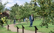 Besucher im Pomo-Garten Döllingen, Foto: Andrea Opitz