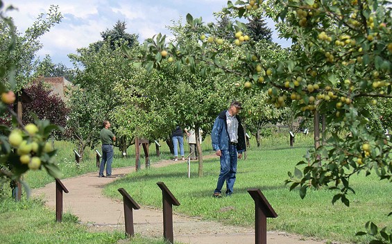 Besucher im Pomo-Garten Döllingen, Foto: Andrea Opitz