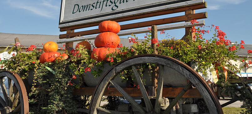 Vielfruchthof Domstiftsgut Mötzow