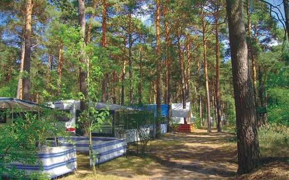 Campingclub Schweriner See e.V. (D59), Foto: Tourismusverband Dahme-Seen e.V. / Campingclub