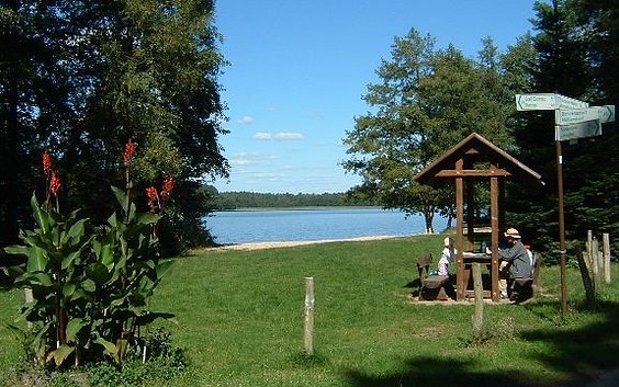 Nature campsite at Springsee
