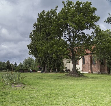 Cistercian Monastery Ruins in Himmelpfort