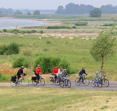 Elberadweg