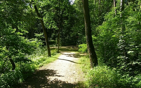 Naturpark Stechlin - Ruppiner Land