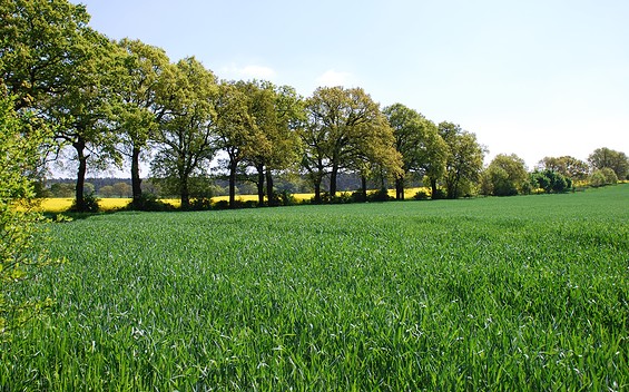 Von Bredow Tour, Foto: TV Havelland e.V.