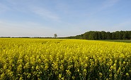 Wassersuppe Tour, Foto: TV Havelland e.V.