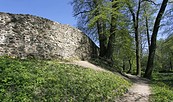Alte Steinmauer, Foto: Henry Mundt
