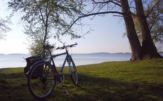 Havelradweg bei Brandenburg © TMB-Fotoarchiv