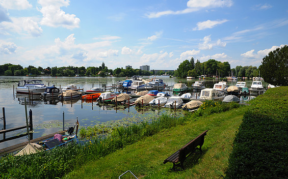 1. Potsdamer Anglerverein e.V. - idyllische Lage inmitten voon Seerosen © Christin Drühl