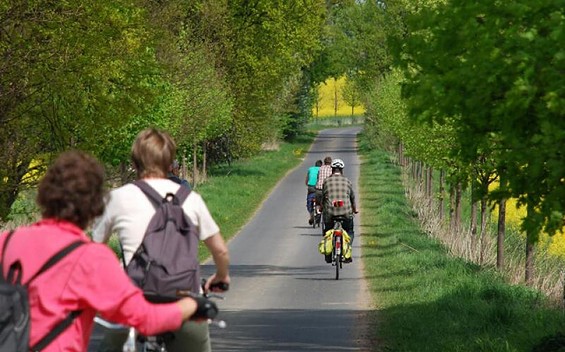 Eine Radtour im Havelland, Foto: Tourismusverband Havelland e. V.