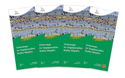Naturpark Nuthe-Nieplitz - Unterwegs im Vogelparadies