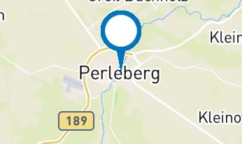 Thomas Frick im Perleberger Lesesalon