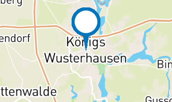 Ginzburg Dynastie