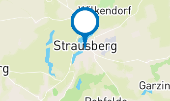 Frau Sonntag und ihr ständiger Begleiter