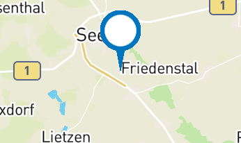 Orgelkonzert- Sara Musumeci