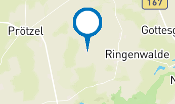 "Feldstein und Musik 2026" - "Sternenklang über dem Atlantik"