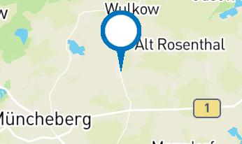 Kräuter- und Heilkundiges (Frühlingskurs)