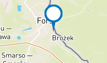 Rosen-Pokal-Lauf