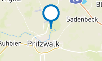 Pilzwanderung im Pritzwalker Hainholz