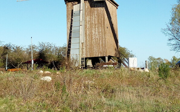 Bockwindmühle Borne, Foto: Ina Hänsch-Goldau, Lizenz: Ina Hänsch-Goldau