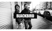 Blackbird, Foto: Blackbird