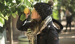 Sanssoucis Pflanzen im Winterschlaf – Führung durch die Pflanzenhallen der Orangerie