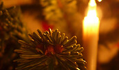 Weihnachtslicht, Foto: Gemeinde Schorfheide Anke Bielig, Lizenz: Gemeinde Schorfheide Anke Bielig