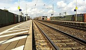Foto: philwdngr , Lizenz: pixabay