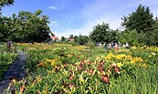 Offene Gärten: Züchter- und Schaugarten von Dr. Tomas und Christina Tamberg