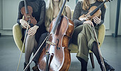 Vesselil, Foto: Vesselil, Lizenz: Vesselil