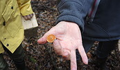 Pilzfund, Foto: NABU, Lizenz: NABU