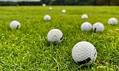 Golfplatz Bad Saarow, Foto: Tourismusverein Scharmützelsee, Lizenz: Tourismusverein Scharmützelsee