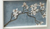 Magnolien, Foto: Atelier Mabellevie, Lizenz: Atelier Mabellevie