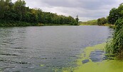 Wanderweg am Wasser, Foto: A. Oegel, Lizenz: FTV
