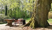 Schlosspark Wiesenburg, Foto: Andrea Jentsch, Lizenz: Andrea Jentsch / Schlosspark Wiesenburg