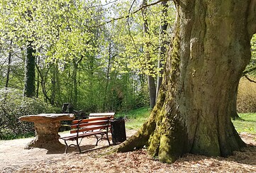 Nature Writing - Workshop im Schlosspark Wiesenburg