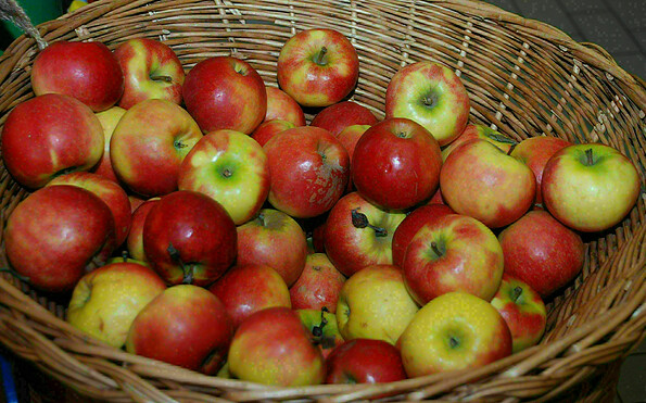 Leckere Äpfel aus der Region, Foto: Juliane Frank, Lizenz: Tourismusverband Dahme-Seenland e.V.