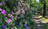 Waldpark Wiesenburg, Foto: Stephanie Nückel
